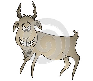 Cheerful goat