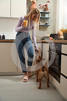 Cheerful housewife spending time with her pet in kitchen