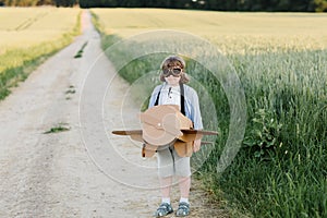 A cheerful kid in aviator's glasses sitting in a cardboard plane. Wheat field background lit by sunlight