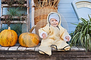 Cheerful kid, boy, at the pumpkin farm fair