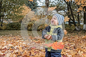 Cheerful kid catching maple leaves falling in autumn city Park