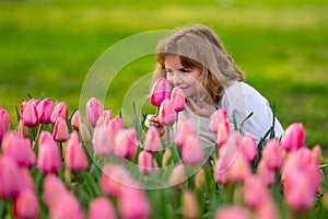 Cheerful kid sitting in green grass looking at pink tulips. Cute child plays in spring blossom field. Happy child