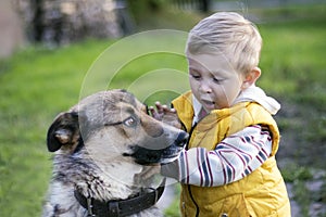 A cheerful kid strokes the face of a yard dog.