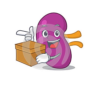 A cheerful kidney cartoon design concept having a box