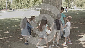 Cheerful kids round dancing around tree trunk in city park