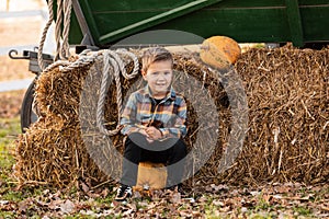 Cheerful little boy at pumpkin patch, fall time. portrait of small boys on hay with pumpkins