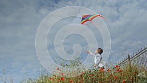 Cheerful little boy standing among grass holding flying colorful kites on sky background