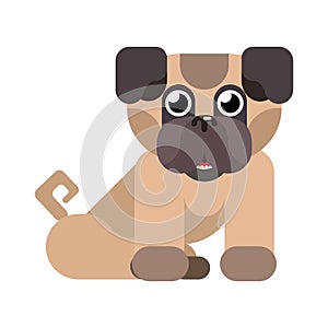 Cheerful little doggie pug sits on new background