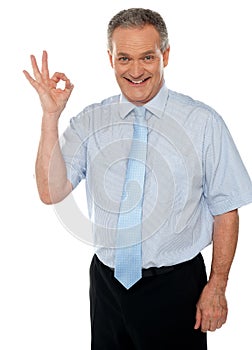 Cheerful male executive showing okay sign