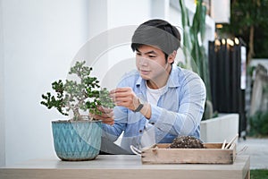 A cheerful man is using pruning shears trimming bonsai tree at home. Hobby lifestyle concept