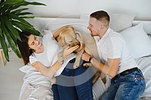 Cheerful married couple is playing with dog at home. They are sitting on sofa and stroking the animal. The man and woman are