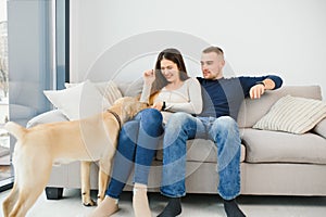 Cheerful married couple is playing with dog at home. They are sitting on sofa and stroking the animal. The man and woman are
