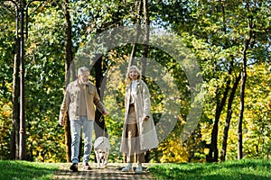 Cheerful and mature couple with labrador