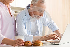 Cheerful mature loving couple family using laptop computer