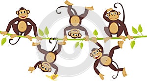 Cheerful monkeys