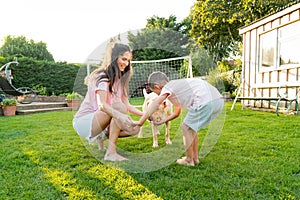 Cheerful mother and son playing with dog, throwing a ball and have fun together. Happy family playing with tennis ball