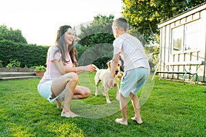 Cheerful mother and son playing with dog, throwing a ball and have fun together. Happy family playing with tennis ball