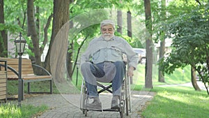 Cheerful old disabled man rolling wheelchair along the alley in summer park. Wide shot portrait of joyful handicapped