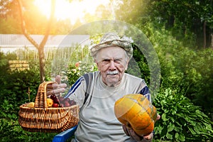 Cheerful old farmer of 87 years old offers a basket with cherries and a pumpkin. the old man gathered the harvest in his garden.