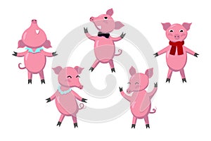 Cheerful pink pigs celebrate party. Vector illustration