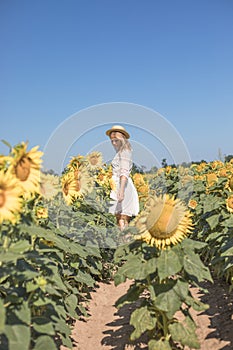 Cheerful positive young woman posing on camera among field of sunflowers. Happy girl  in straw hat during summertime. Harvest