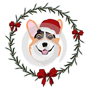 Cheerful red Welsh Corgi dog in Christmas hat and wreath from Christmas tree with a red bow
