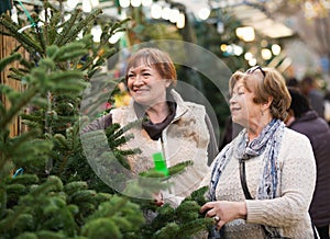 Cheerful satisfied elderly women selecting spruce