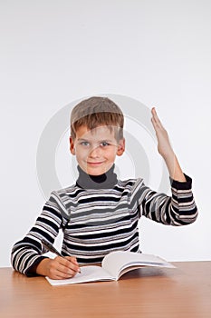 Cheerful Schoolboy ready to answer question