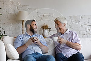 Cheerful senior 70s dad and adult grownup son drinking tea