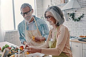 Cheerful senior couple in aprons