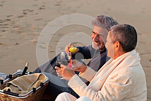 Cheerful senior couple enjoying picnic at the beach