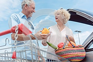 Cheerful senior couple happy for buying fresh vegetables from the hypermarket