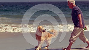 Cheerful senior man playing with dog