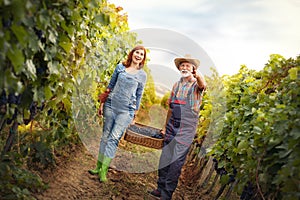 Cheerful senior man with young woman carrying baskets full of grapes