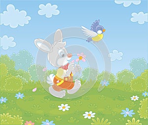 Little enamored bunny guessing on a daisy