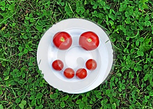 Cheerful smiley from fresh tomato on a round white plate in the grass.