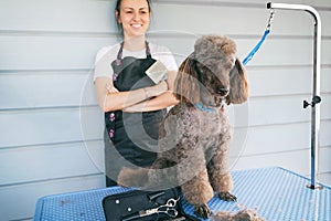 Cheerful smiling professional female groomer looking on cute brown poodle dog after haircutting. Animal hair cut in pet care salon
