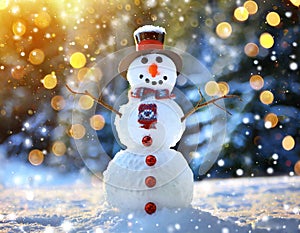 Cheerful snowman standing in winter Christmas landscape