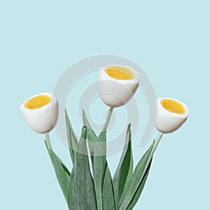 Cheerful spring tulips and eggs boiled like flowers.