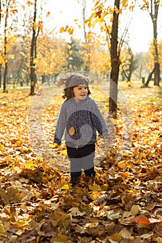 Cheerful toddler boy in autumn park