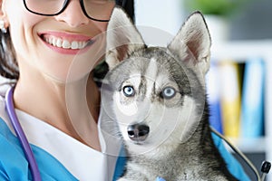 Cheerful veterinarian female and cute husky puppy on hands
