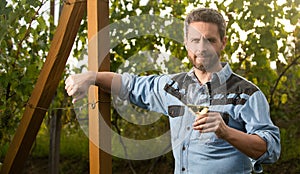 cheerful winemaker man hold wineglass at vineyard outdoor, winegrower