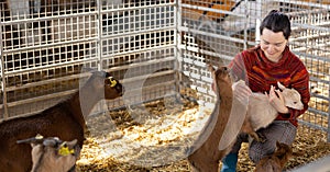 Cheerful woman playing with goatlings in petting zoo stall