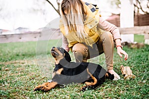 Cheerful woman playing with happy rottweiler puppy