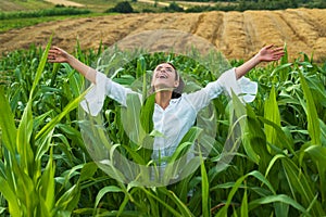 Cheerful woman posing in the corn crop, agriculture and cultivation concept. American woman in a white dress harvests