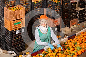 Cheerful woman working on citrus sorting