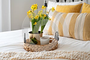 Cheerful yellow flowers and tea on a tray in a bedroom
