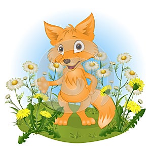 Cheerful young fox on a glade