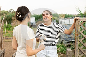 Cheerful young girls neighbors talking in backyard of village house