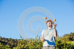 Cheerful young man juggling oranges on citrus farm